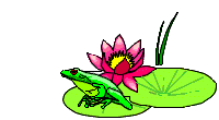 +reptile+animal+frog+catching+a+fly++ clipart