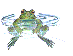 +reptile+animal+frog+in+water++ clipart