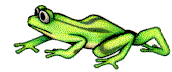 +reptile+animal+tadpole+turns+into+a+frog++ clipart