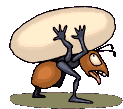 +bug+insect+ant+carrying+an+egg++ clipart