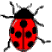 +bug+insect+ladybird++ clipart