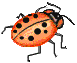 +bug+insect+ladybug++ clipart