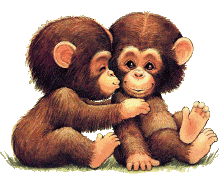 +jungle+forest+animal+baby+chimps+kissing++ clipart