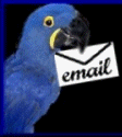 +bird+animal+email+parrot++ clipart