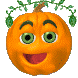 +pumpkin+fruit+pumpkin+plant++ clipart