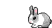 +rabbit+animal+pet+ clipart