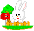 +rabbit+animal+pet+rabbit+on+a+trampoline++ clipart