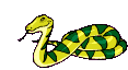 +reptile+animal+snake+green+and+yellow+snake++ clipart