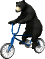 +animal+bear+bicycle+ clipart
