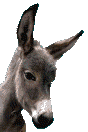 +animal+donkey+head+mule+ clipart