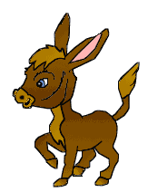 +animal+donkey+mule+ clipart