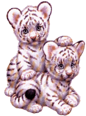 +cat+animal+tiger+cubs+s+ clipart