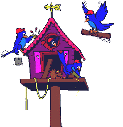 +bird+animal+bluebirds+building+bird+house+s+ clipart