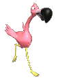 +bird+animal+flamingo++ clipart