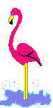 +bird+animal+flamingo++ clipart