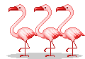 +bird+animal+group+of+flamingos++ clipart