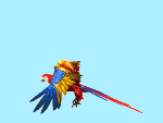 +bird+animal+macaw+flying++ clipart