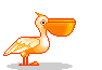 +bird+animal+pelican++ clipart