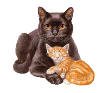 +animal+black+cat+and+ginger+kitten++ clipart