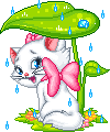 +animal+cat+sheltering+from+the+rain++ clipart