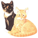 +animal+cats++ clipart