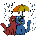 +animal+cats+in+the+rain++ clipart