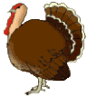 +animal+farm+bird+turkey++ clipart