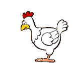 +animal+farm+bird+white+chicken+and+worm++ clipart