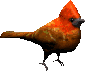 +bird+Cardinal+Animation+ clipart