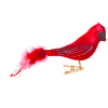 +bird+Cardinal+Wagging+Tail+Animation+ clipart