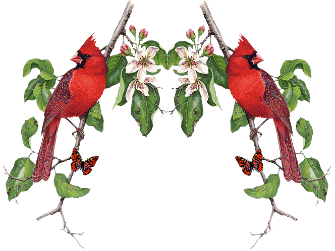 +bird+Glitter+Cardinal+Animation+ clipart