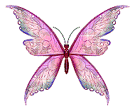 +insect+Pink+sparkle+Butterfly+Animation+ clipart