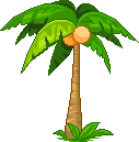+plant+nature+coconut+tree++ clipart