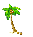 +plant+nature+coconut+tree+tree++ clipart