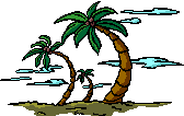 +plant+nature+palm+trees++ clipart