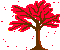 +plant+nature+red+tree++ clipart