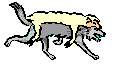 +animal+howl+dog+canine+wolf+in+sheeps+clothing++ clipart