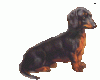 +dog+ clipart