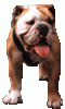 +dog+ clipart
