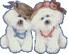 +dogs+hat+ clipart
