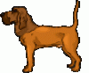 +houngdog+bark+ clipart