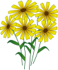 +sunflowers+blossoms+ clipart